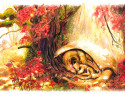 Dragon d'automne