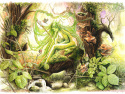 Dryade de printemps - Dryad of spring